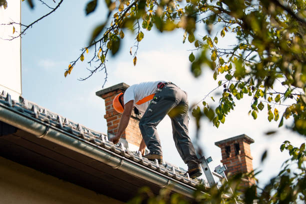 Best Flat Roof Repair Services  in Mount Sterling, IL