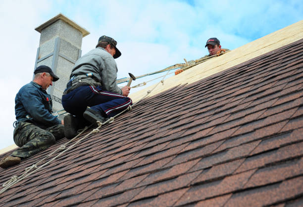 Best Shingle Roofing Installation  in Mount Sterling, IL